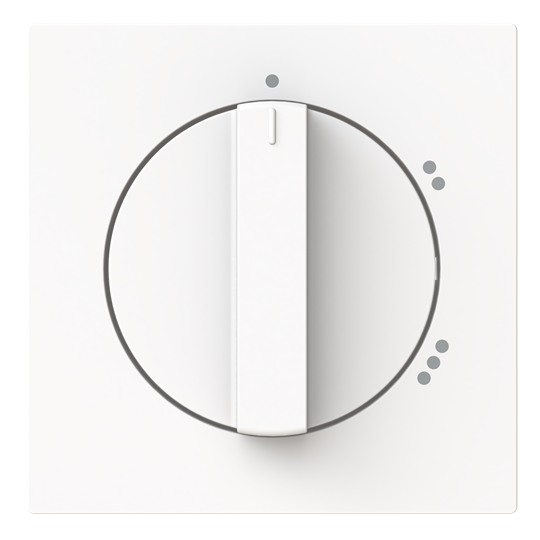 Zentralscheibe mit Aufdruck Symbol "1-2-3" für Stufenschalter, Drehknopf