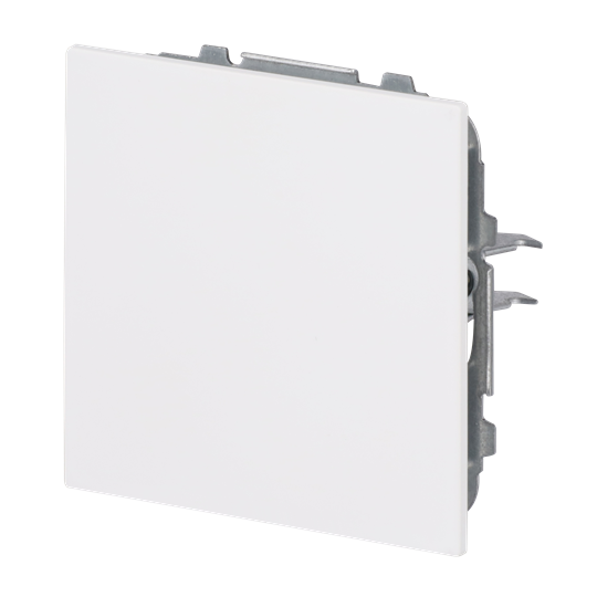 Zentralscheibe für Blindabdeckung 1-fach mit Tragring weiß - Busch-art linear®