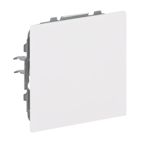 Zentralscheibe für Blindabdeckung 1-fach mit Tragring weiß - Busch-art linear®