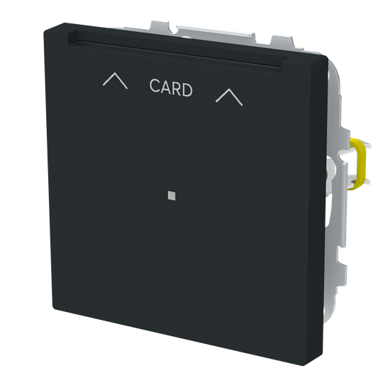 Cardschalter-Einsatz mit Zentralscheibe Symbol "Pfeile", CARD mit transparenter