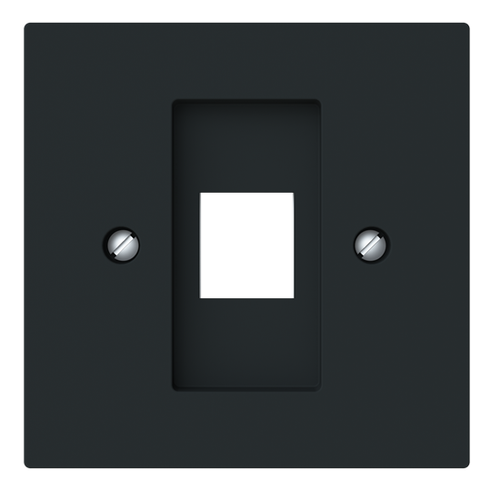 Zentralscheibe mit Tragring Modular-Jack 1-fach Busch-art linear®