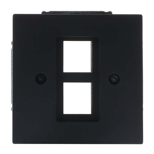Zentralscheibe mit Tragring Modular-Jack 2-fach Busch-art linear®