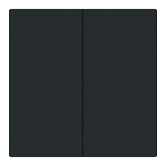 Wippe für Smart Switch 2-fach schwarz matt - Busch-art linear®