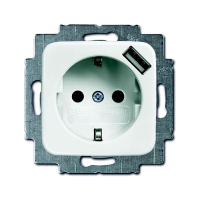 Busch-Jaeger 20 EUJ-214 - Presa Elettrica Con Piastra Di Copertura, Colore Bianco Alpino